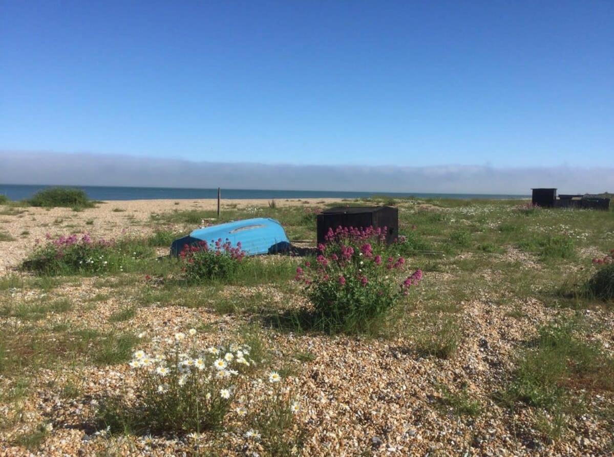 Mariner'S Cottage - On Kingsdown Beach ディール エクステリア 写真