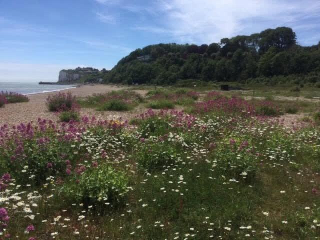 Mariner'S Cottage - On Kingsdown Beach ディール エクステリア 写真