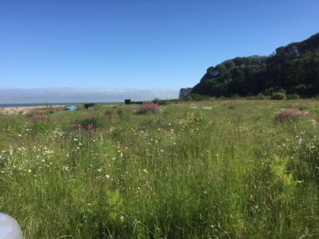 Mariner'S Cottage - On Kingsdown Beach ディール エクステリア 写真