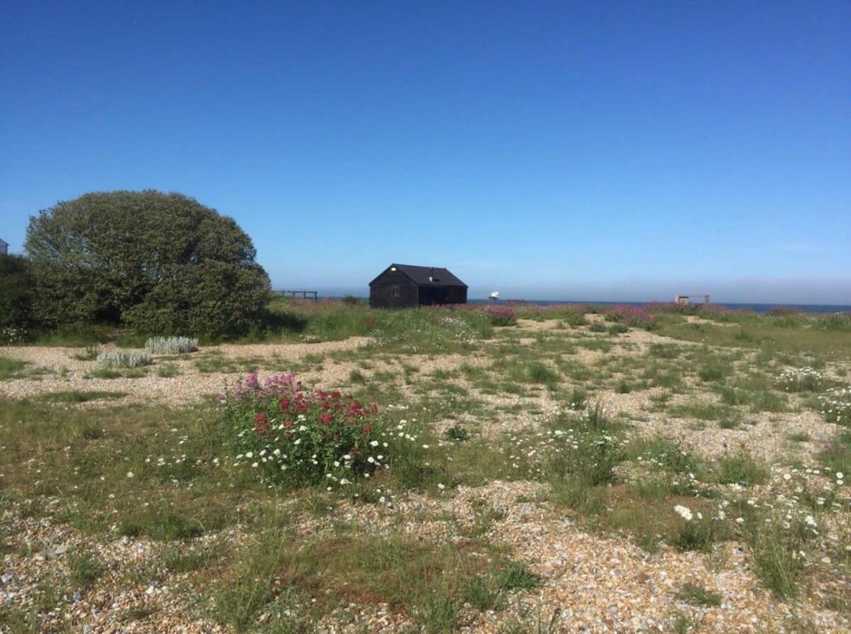 Mariner'S Cottage - On Kingsdown Beach ディール エクステリア 写真